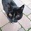Mick_2605