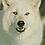 WhiteWolf